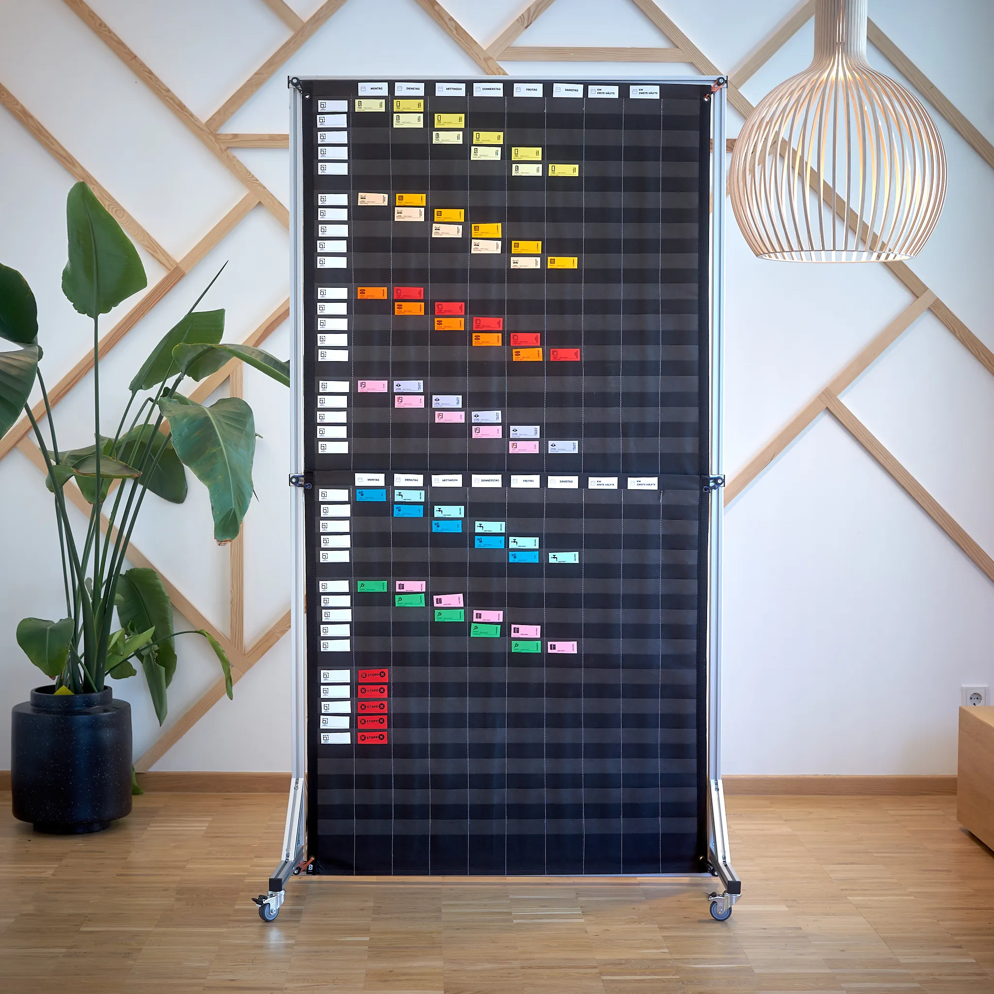 Jeanine White smiling in a red plaid shirt and tortoise shell glasses